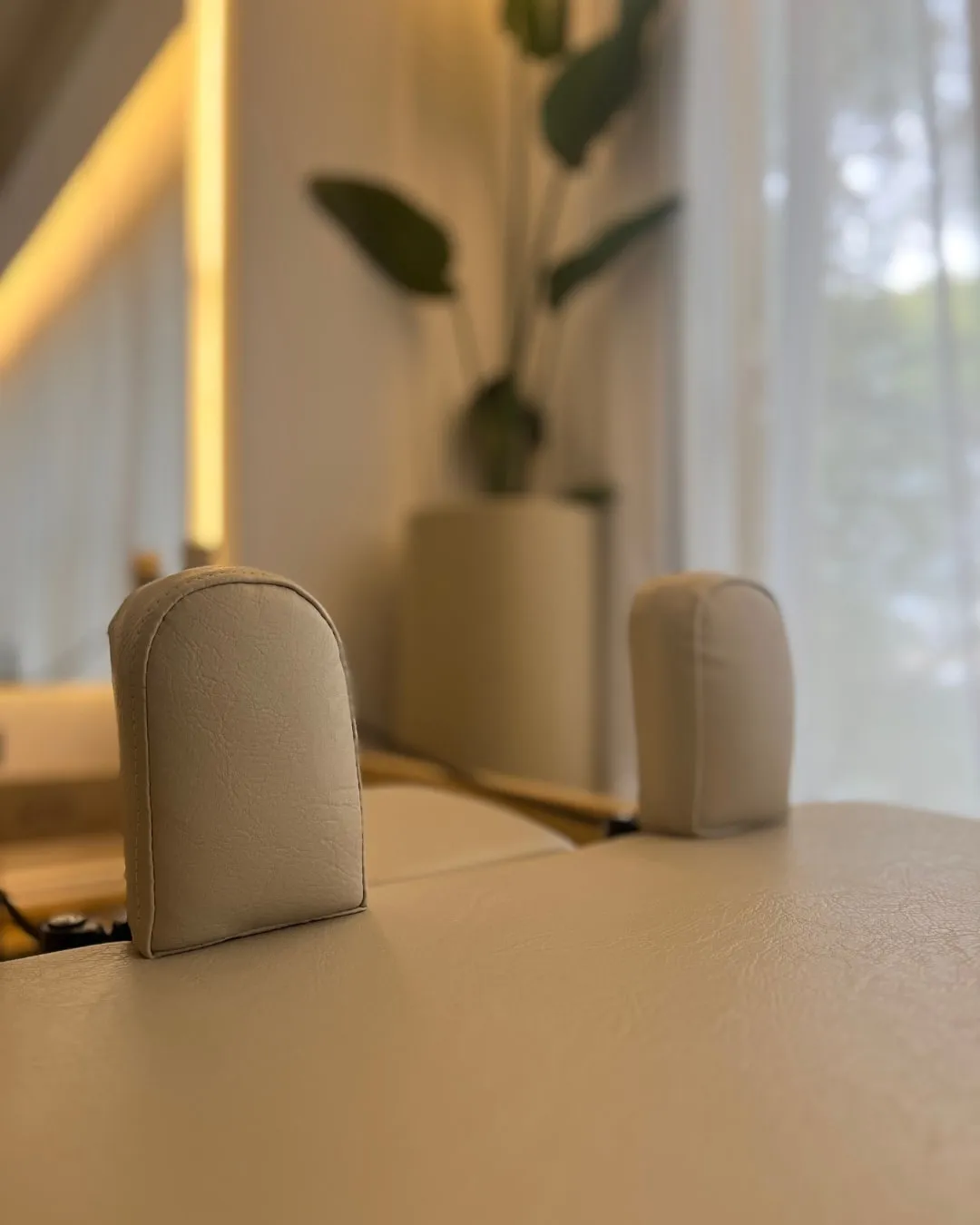 Close-up of a reformer's shoulder rests, with a plant out of focus behind